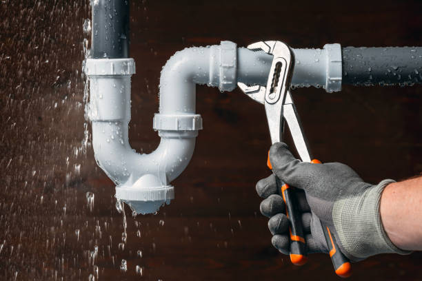 Professional Plumbing technician working in Orleans, MI